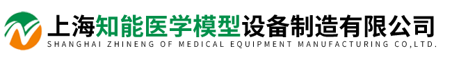 上海知能醫學(xué)模型設備制造有限公司